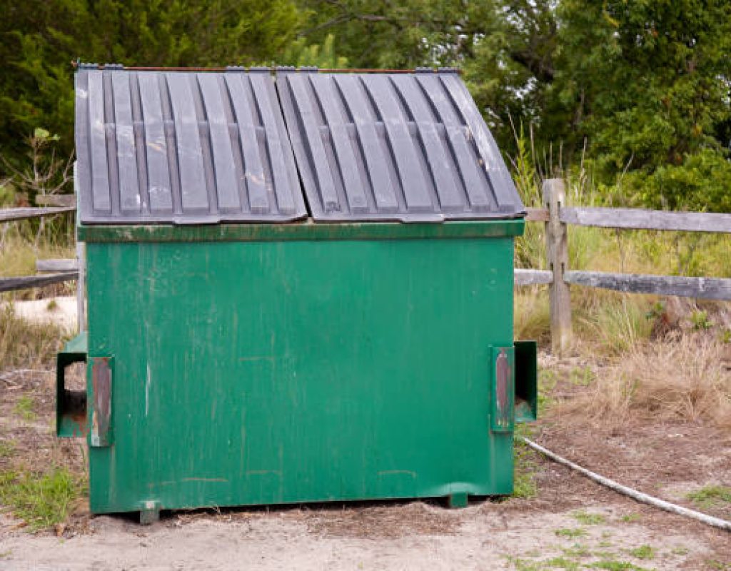 compact dumpster rental by Zippy Dumpster professionals