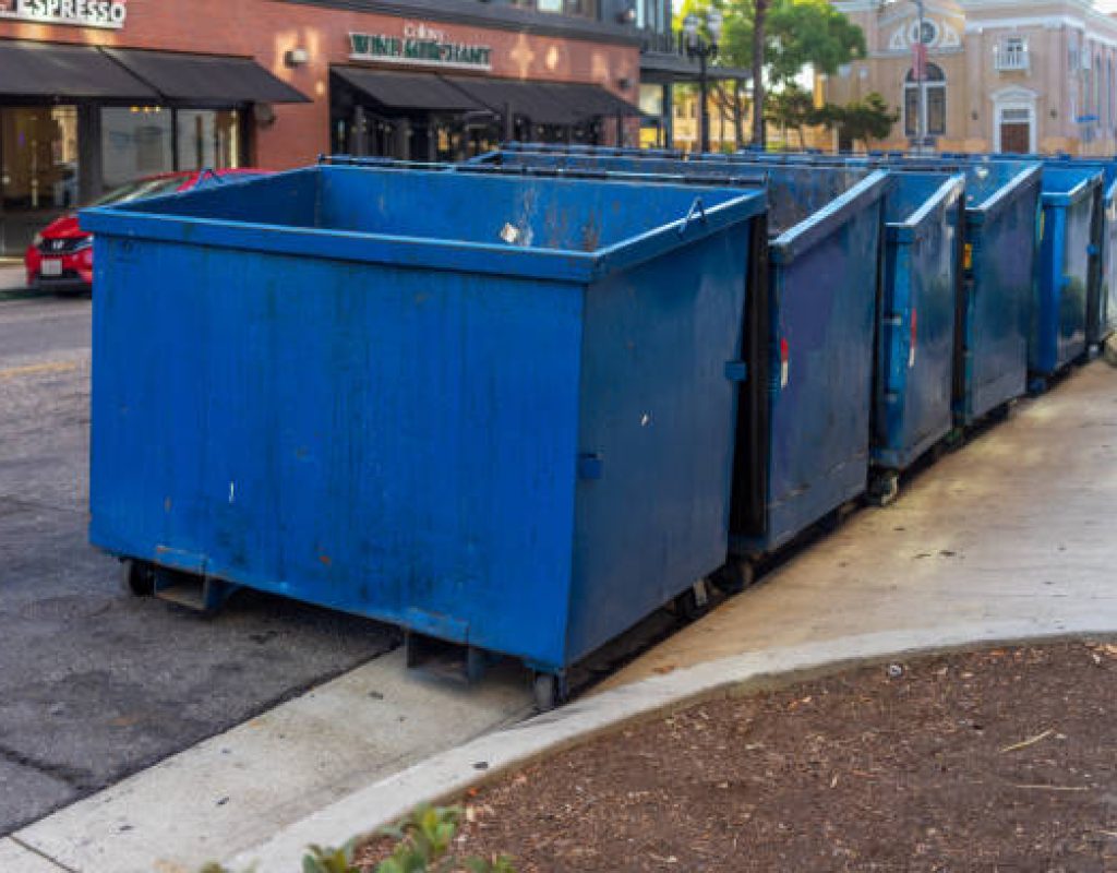 Zippy Dumpster small dumpster supporting cleanup needs