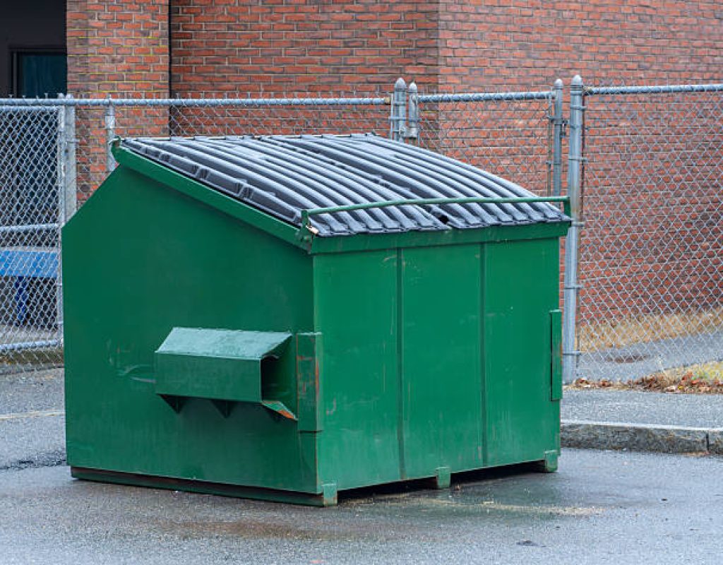 small dumpster rental supporting light debris removal