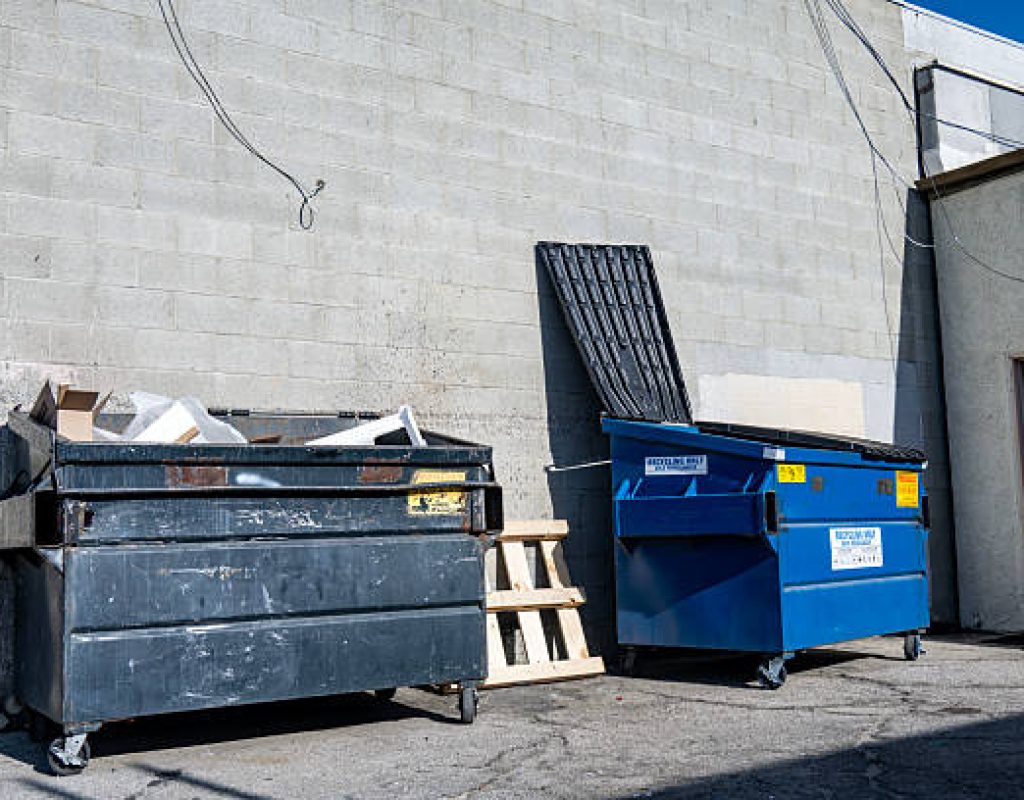 Zippy Dumpster roll off dumpster for commercial projects